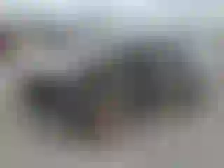 Vehicle Image- 1996 Honda Civic