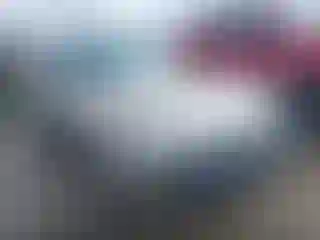 Vehicle Image- 2000 Honda Civic