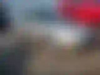 Vehicle Image- 2000 Honda Civic