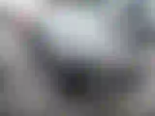 Vehicle Image- 2000 Honda Civic