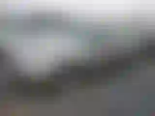 Vehicle Image- 2000 Honda Civic