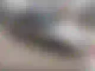 Vehicle Image- 2000 Honda Civic