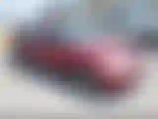 Vehicle Image- 1998 Honda Civic