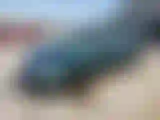 Vehicle Image- 2000 Honda Civic