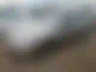 Vehicle Image- 2000 Honda Civic