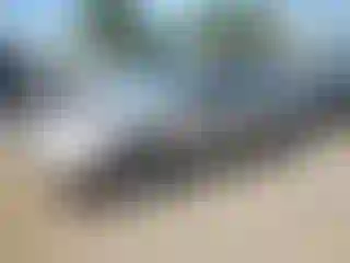 Vehicle Image- 2000 Honda Civic