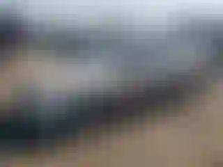 Vehicle Image- 2000 Honda Civic