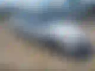 Vehicle Image- 1997 Honda Civic