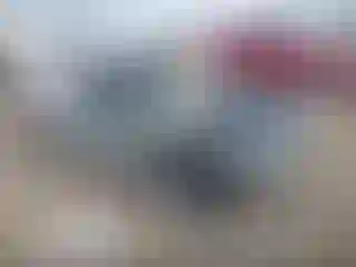 Vehicle Image- 2000 Honda Civic