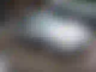 Vehicle Image- 1997 Honda Civic