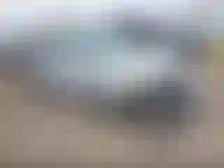 Vehicle Image- 2000 Honda Civic