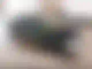 Vehicle Image- 2000 Honda Civic