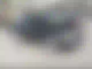 Vehicle Image- 2000 Honda Civic