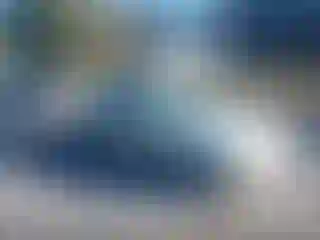 Vehicle Image- 2000 Honda Civic