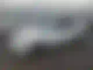 Vehicle Image- 1996 Honda Civic