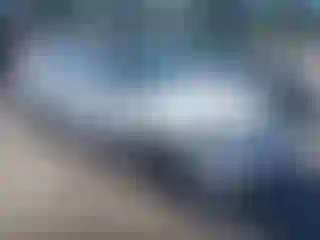 Vehicle Image- 1996 Honda Civic
