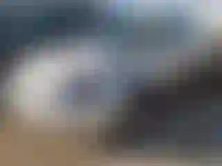 Vehicle Image- 2000 Honda Civic