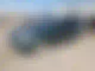 Vehicle Image- 2000 Honda Civic