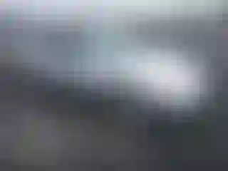 Vehicle Image- 1998 Honda Civic