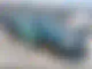 Vehicle Image- 1998 Honda Civic