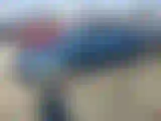 Vehicle Image- 1998 Honda Civic