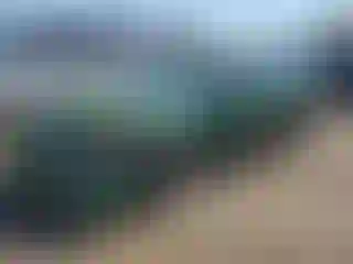 Vehicle Image- 1997 Honda Civic