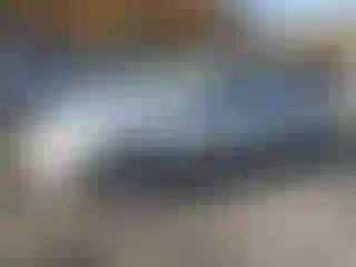 Vehicle Image- 2000 Honda Civic