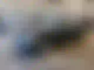 Vehicle Image- 1996 Honda Civic