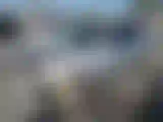 Vehicle Image- 1998 Honda Civic