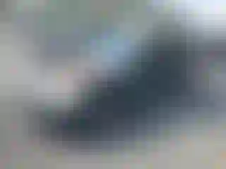Vehicle Image- 1998 Honda Civic