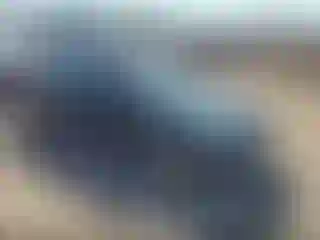 Vehicle Image- 2000 Honda Civic