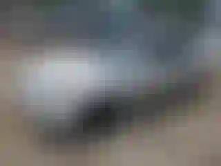 Vehicle Image- 1999 Honda Civic