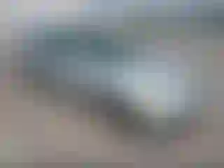 Vehicle Image- 1996 Honda Civic