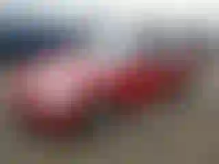 Vehicle Image- 1999 Honda Civic