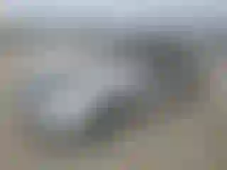 Vehicle Image- 2005 Honda Civic