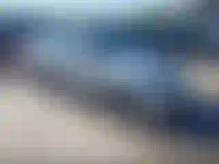 Vehicle Image- 2004 Honda Civic