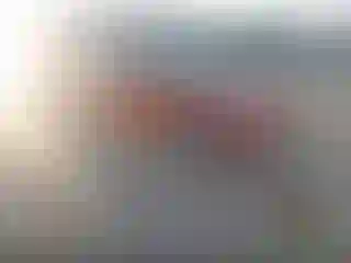 Vehicle Image- 2004 Honda Civic