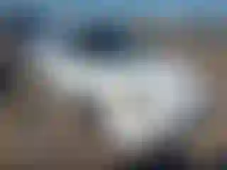 Vehicle Image- 2001 Honda Civic