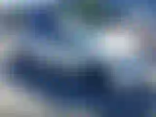 Vehicle Image- 2002 Honda Civic