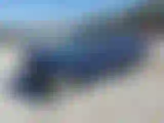 Vehicle Image- 2002 Honda Civic