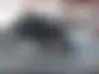 Vehicle Image- 2004 Honda Civic