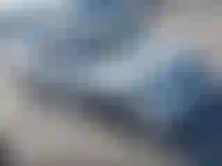 Vehicle Image- 2004 Honda Civic