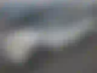 Vehicle Image- 2002 Honda Civic