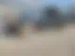 Vehicle Image- 2002 Honda Civic