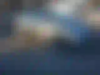 Vehicle Image- 2004 Honda Civic