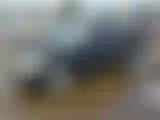 Vehicle Image- 2005 Honda Civic