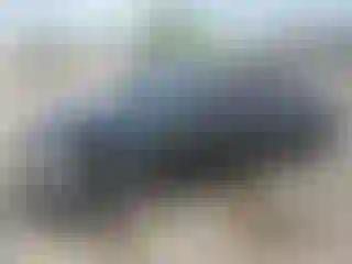 Vehicle Image- 2003 Honda Civic