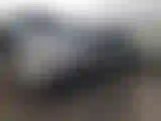 Vehicle Image- 2004 Honda Civic