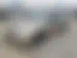 Vehicle Image- 2004 Honda Civic