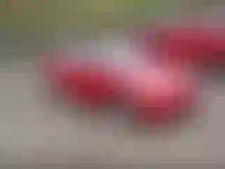 Vehicle Image- 2001 Honda Civic